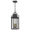 Quoizel Manning Outdoor Hanging Lantern MAN1911WT